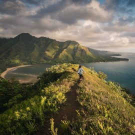 Hawaii Big Island Encompassed: Best Hikes & Beaches