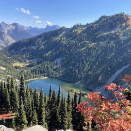 Golden Fall in the North Cascades Range (Hiking)