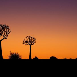 Namibia–Botswana–Zambia: Tribes, Wildlife & Victoria Falls