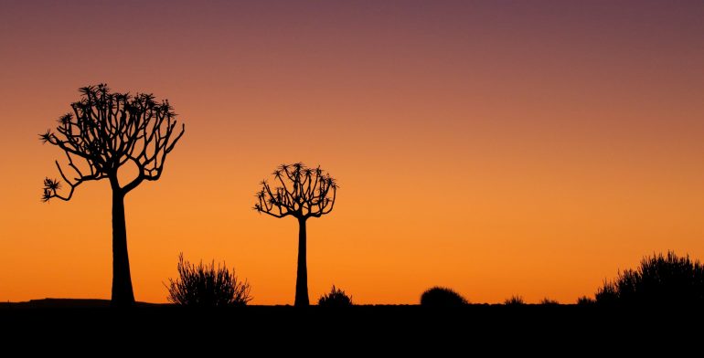 Namibia–Botswana–Zambia: Tribes, Wildlife & Victoria Falls